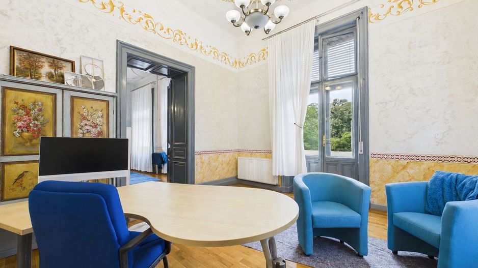 Apartament emblematic in Palatul Cenad, Arad - Poză 4