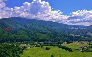 AZURA Imobiliare Pitesti - Casă de vacanță, Nucșoara! - Poză 19
