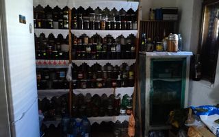 Casa vacanta,investitie  in Gurahont cu teren generos - Poză 9