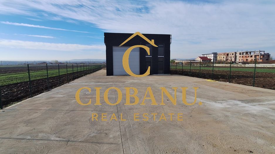 Hala de vanzare in Racari de Jos - Poză 17