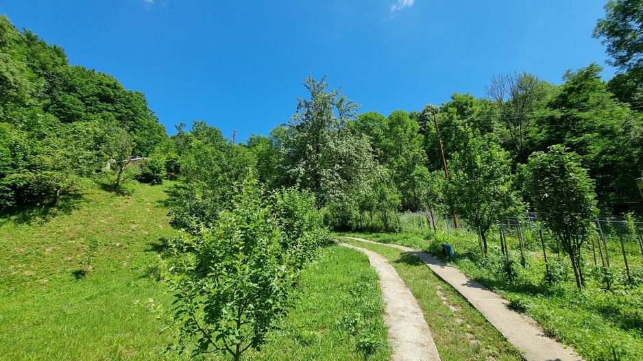 Casa de la marginea padurii! - Poză 9