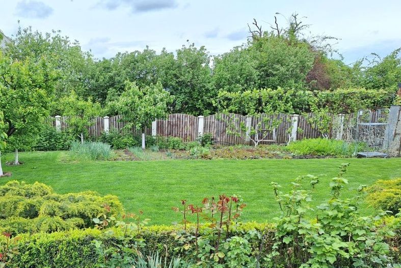 Vilă Elegantă în Cartierul Europa – Liniște și Confort - Poză 15