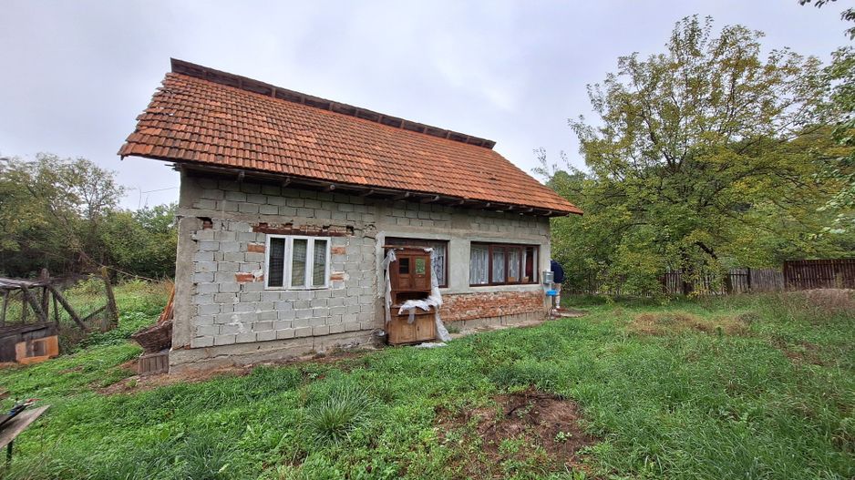 Casa de Vanzare Baiculesti Arges - Poză 4