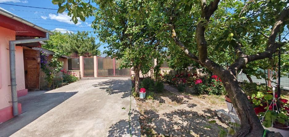 Casa cu 3 camere | Buftea | Toate utilitatile | Langa padure si lac - Poză 3