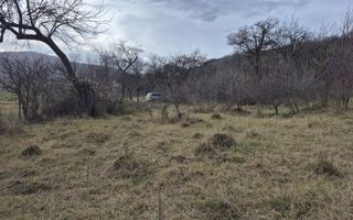 Teren de vanzare | Orlat | Extravilan - Poză 3