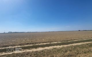 Teren Mosnita Noua, 11600 mp - Poză 2