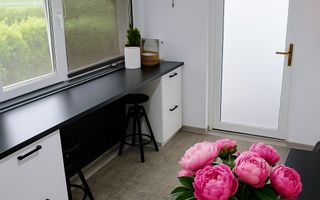 SPATIU COMERCIAL PLUS CASA DE VANZARE IN HOLBOCA 250 000 EURO - Poză 16