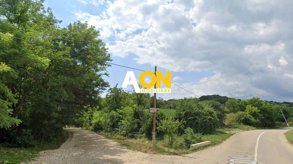 Teren intravilan de vanzare 3.000mp + 20.000mp extravilan - Poză 1