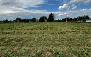 Casă cu 3500 mp teren, Sat Miron Costin - Brănișteni (str. Macilor) - Poză 12