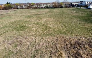 Teren intravilan 3.250 mp -zona Plopi - Poză 5