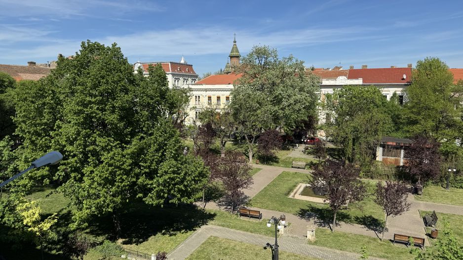 Apartament in clădire istorică P-ta Plevnei cu vedere parc - Poză 18