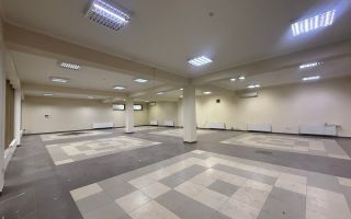 Chirie, spațiu comercial, 460 mp, str. Ștefan Vodă, Vatra - Poză 6