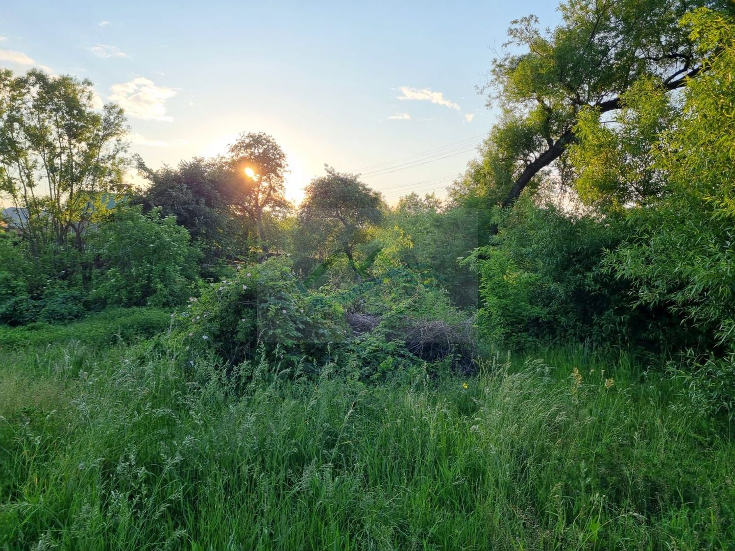 Teren Intravilan Ilisesti/Suceava - Poză 12
