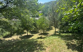 CASA 6 CAMERE TEREN 1005 MP  BUGHEA DE JOS ARGEȘ - Poză 35