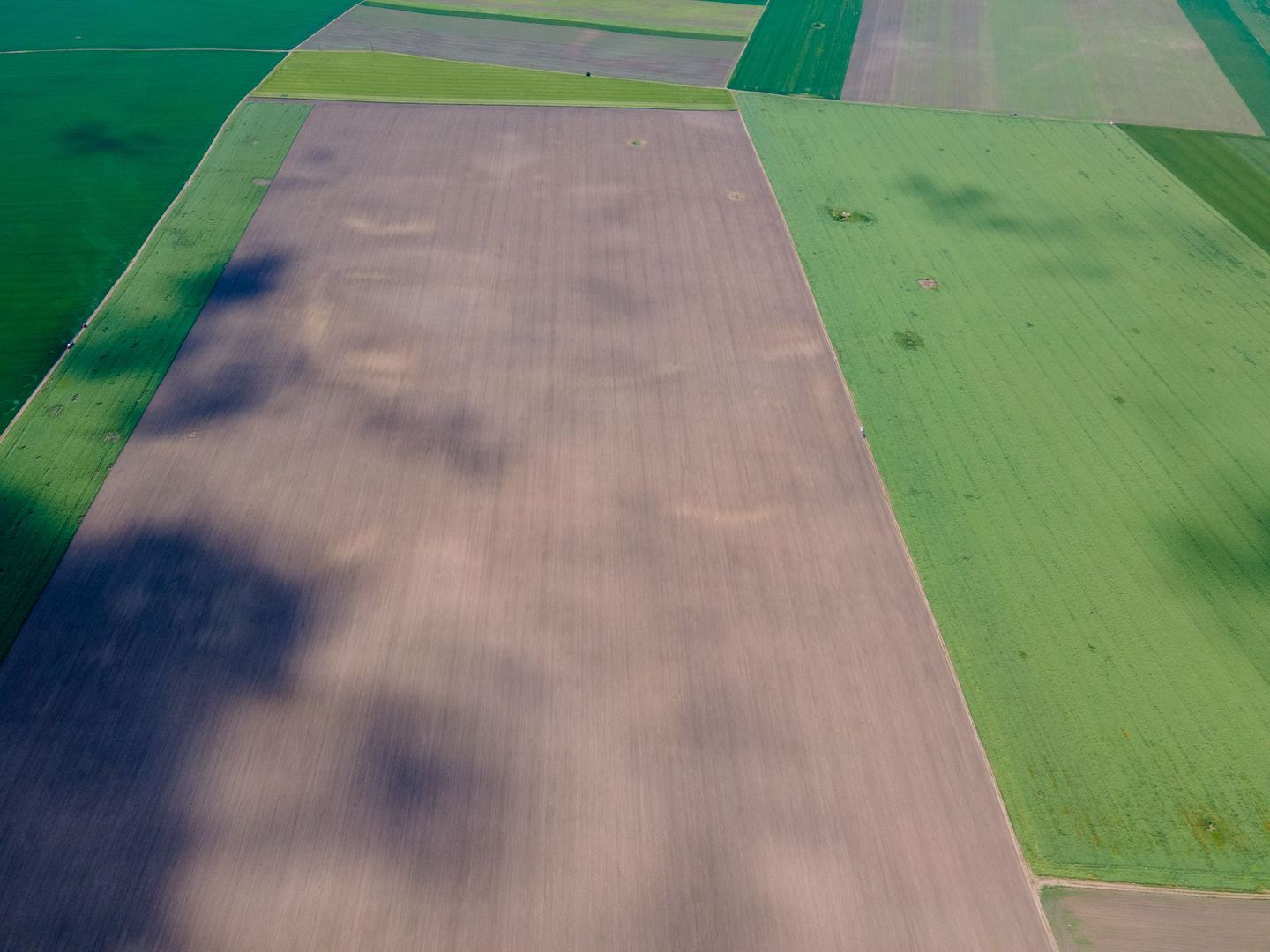 Teren de 5Ha în Satchinez. - Poză 4