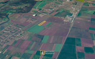 teren agricol de vanzare Vladimirescu, Arad - Poză 3