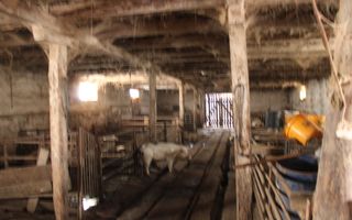 Ferma de Vânzare – Oportunitate Unică! - Poză 7