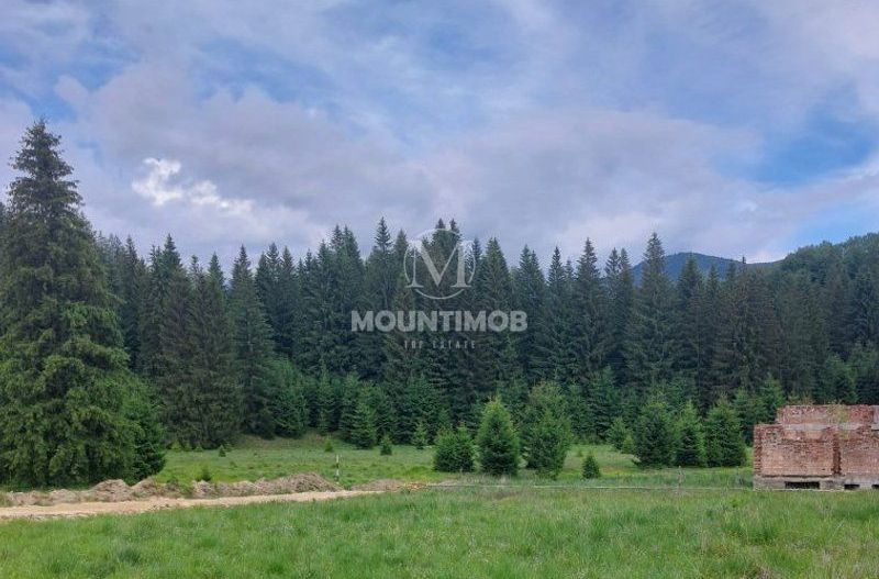 Teren intravilan în Poiana Brașov, 0% COMISION - Poză 5