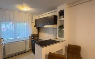 Garsoniera in zona Crangasi (Centrala Proprie) - Poză 3