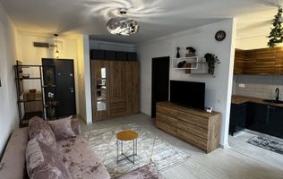 Studio Modern Panorama Lacul Morii