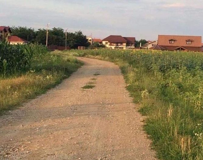 Teren de vanzare | Ciofliceni | Utilitati - Poză 3