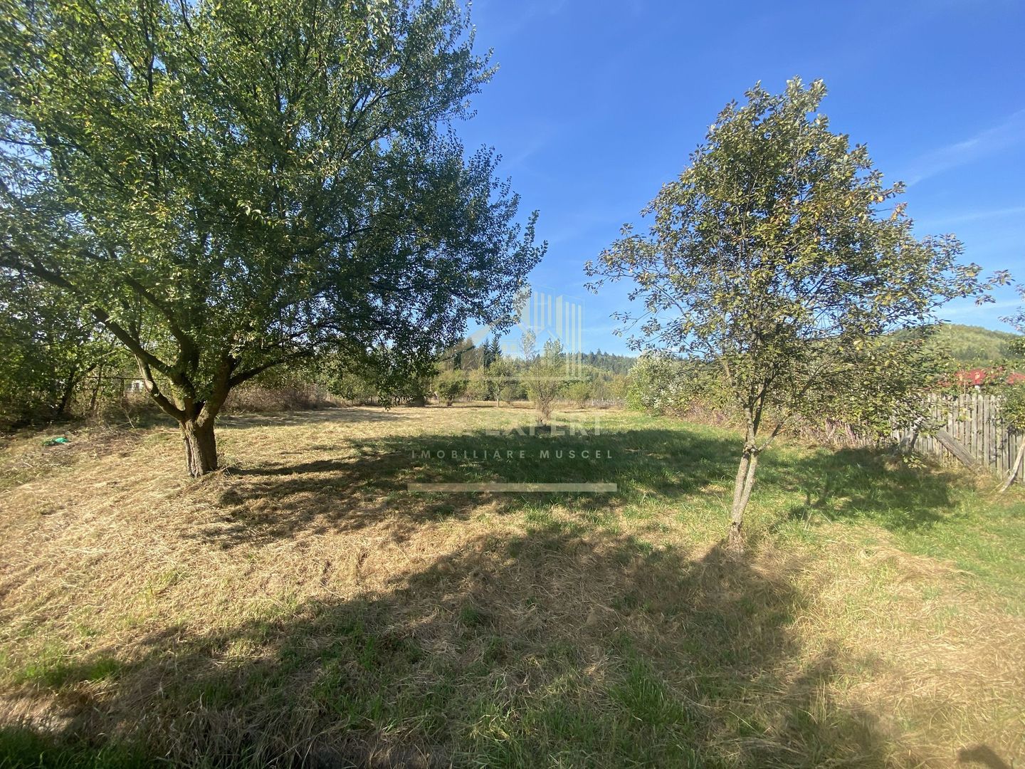 CASA DE VANZARE IN BUGHEA DE SUS CU 3000MP TEREN, PRET 55000 EURO - Poză 4