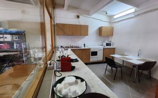 Spatiu industrial productie/ depozitare, Timiș - Poză 22