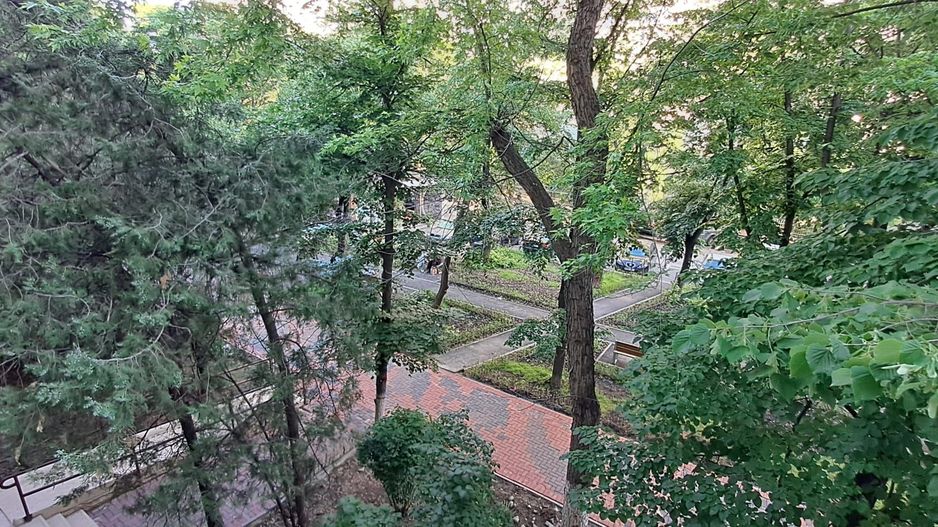 Dristor, intersectia Liviu Rebreanu cu Camil Ressu, metrou la 450 m - Poză 2