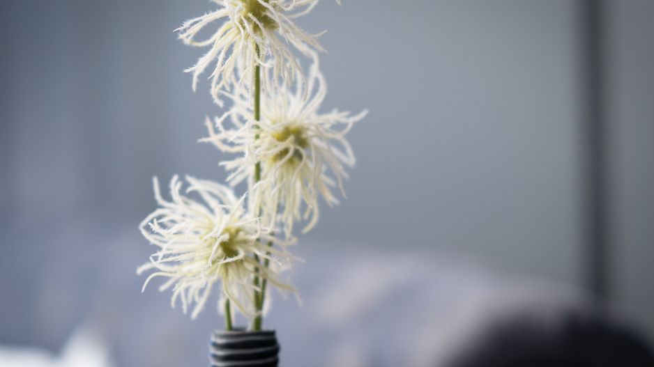 Apartament   4 camere - Poză 29