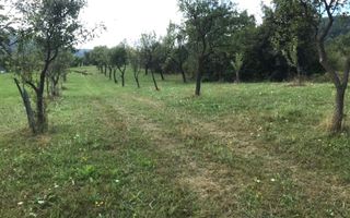 Teren extravilan - Sibiel, Sibiu - Poză 4