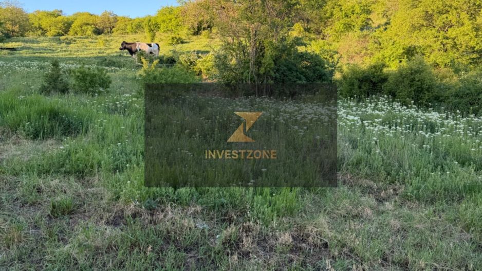 ⭐  Teren de 2.700 mp cu front generos – Ocazie în Oncea - Poză 16