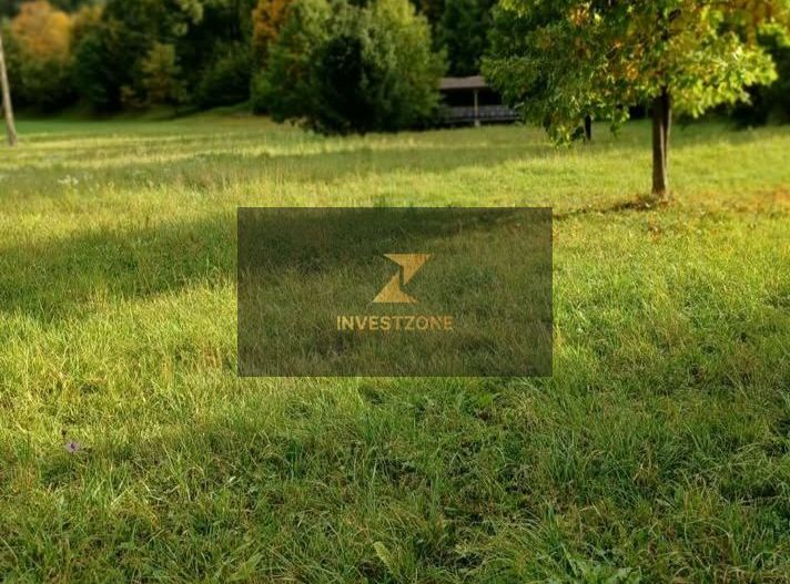 Teren de vis de vanzare in Remeti-Bihor-27p0 mp - Poză 12