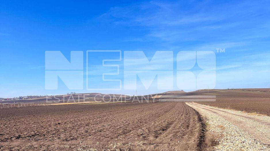 Vanzare I Teren I Suceava/Stroiesti I 100 ARI 2999 Euro/Ar - Poză 8