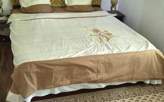 3 camere in Iosefin - Poză 6
