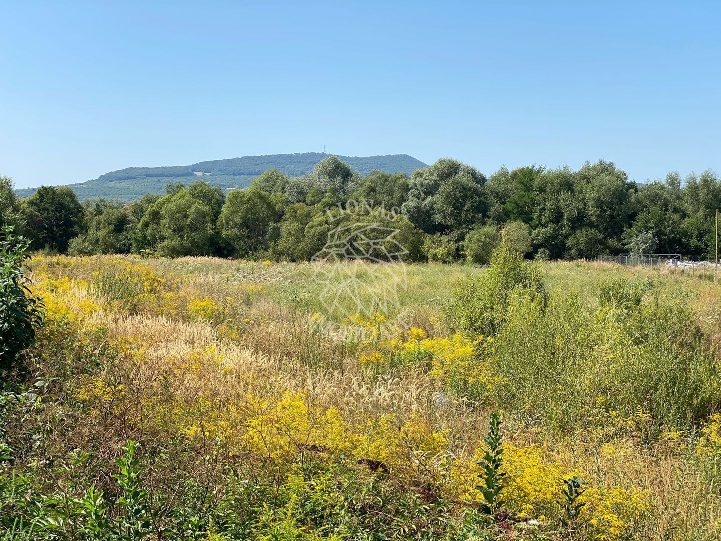 Teren 4100 mp - oportunitate investitie - Bistrita Zona Ranahum - Poză 1