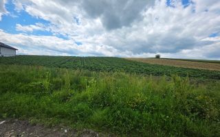 TEREN INTRAVILAN | MOARA NICA, SUCEAVA | 115.000€ - Poză 6