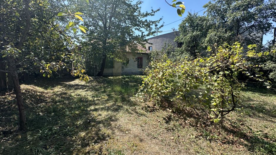 Vanzare teren 2387 mp, front 17,3 ml, Serpuitoare , Gruia - Poză 3