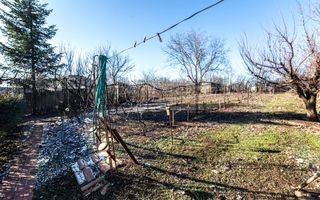 Casa superba, Adunatii Copaceni - Poză 5