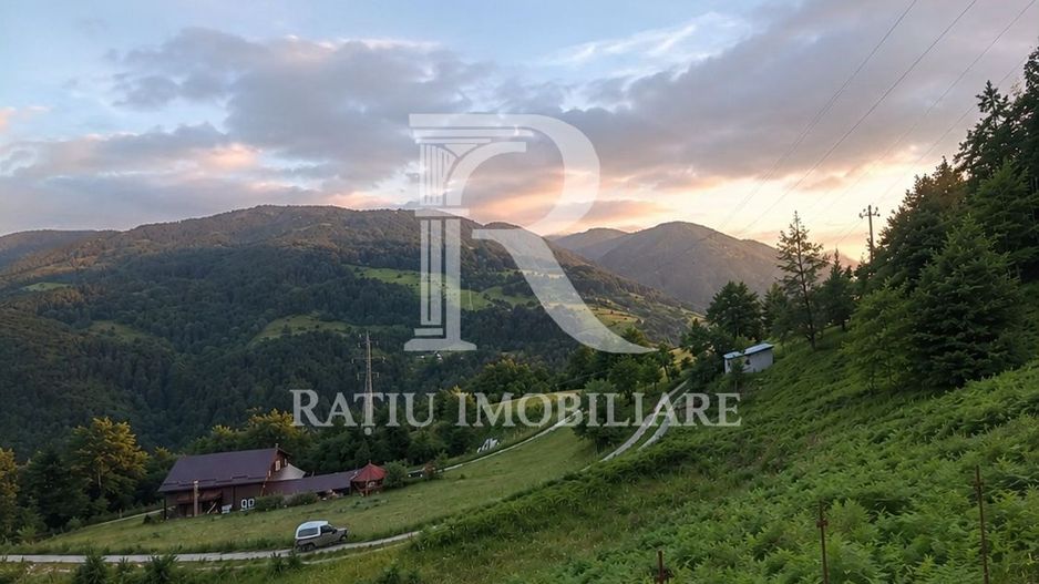 Teren 10.900mp | Panoramă în Apuseni | Remeți -Ideal pentru Investitii - Poză 2