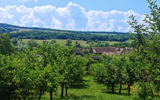 Casă săsească autentică în Bruiu (Sibiu) - Poză 19