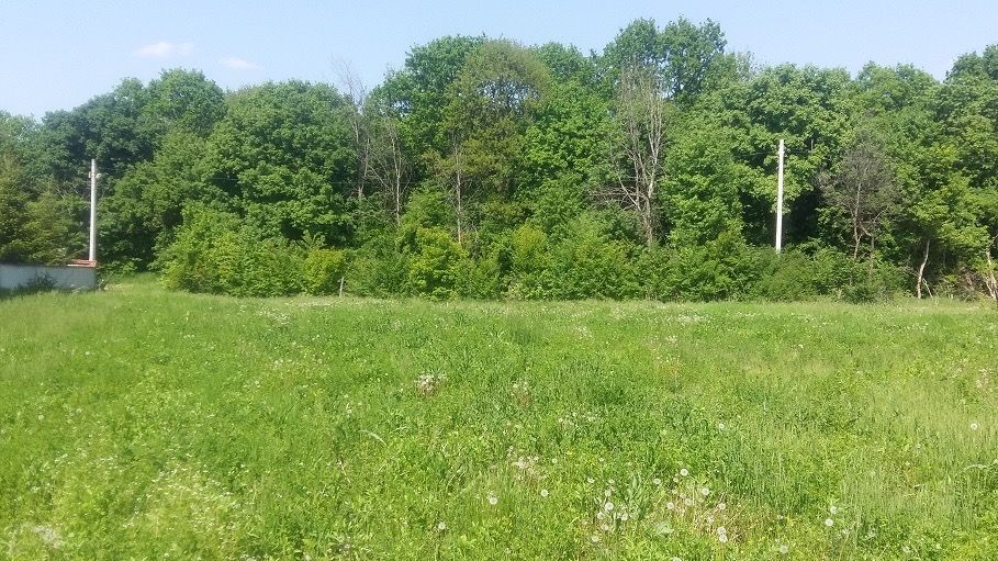 Teren Ideal Pentru constructie Vila sau Investie --Sinaia-- - Poză 3