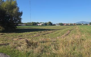 Teren Bod Colonie,strada Lalelelor - Poză 3