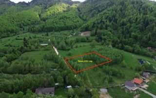Teren intravilan 5.261 mp Tohănița | Deschidere 49 m | Utilități, lângă pădure - Poză 1