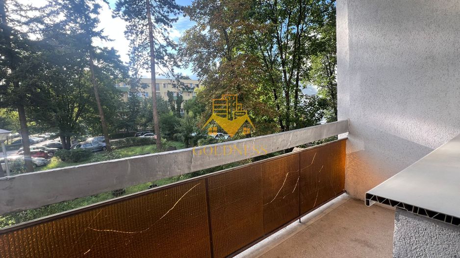 2 camere decomandate, Gheorgheni, FSEGA,Unirii, Iulius Mall, Lidl - Poză 7