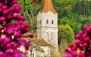 Teren intravilan, pe 2.623mp, zona de case, Rasnov, Brasov - Poză 3