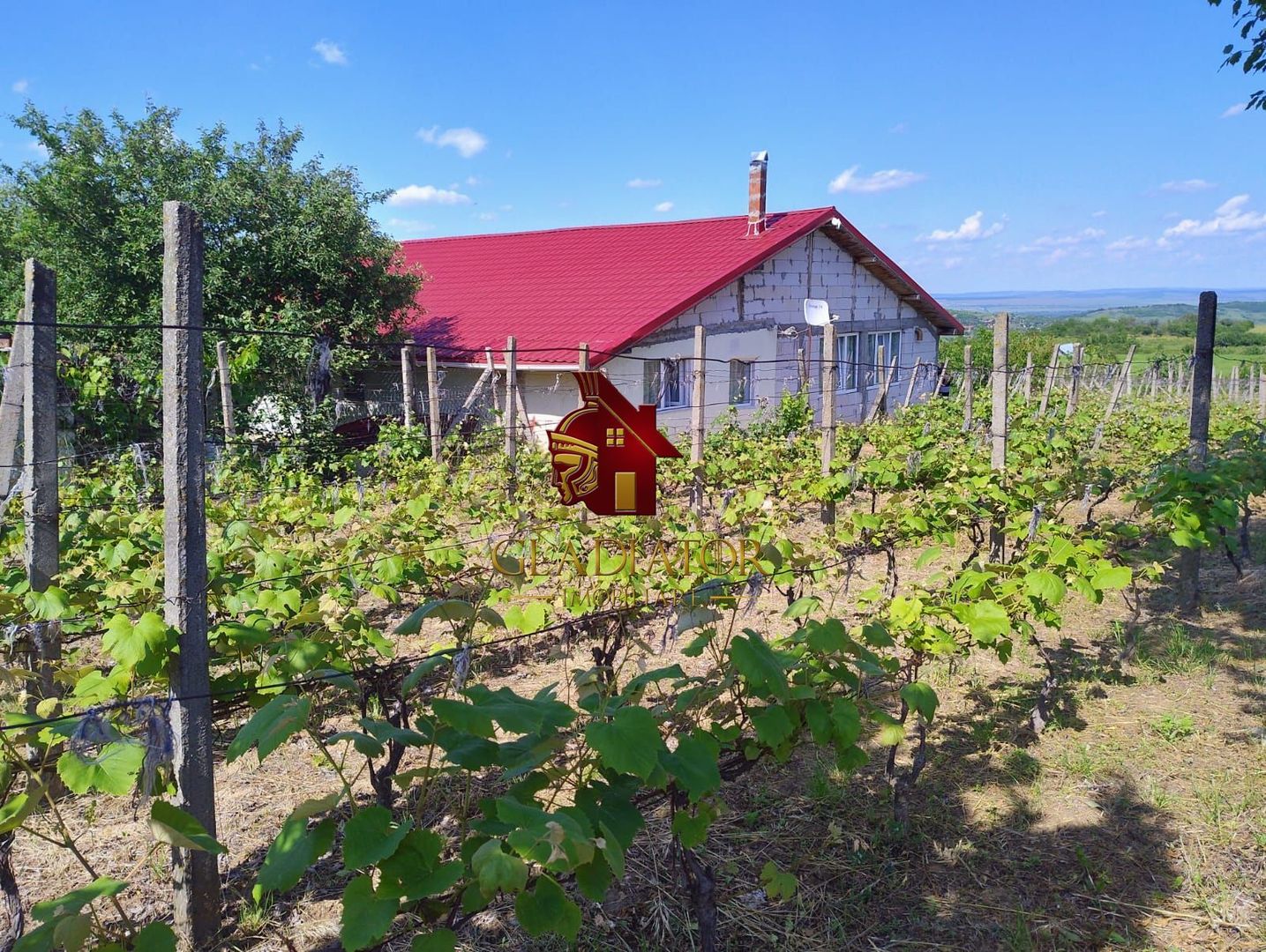 Casa + garaj + 1400 mp teren in Tomesti Goruni, zona de vis, nu rata - Poză 21