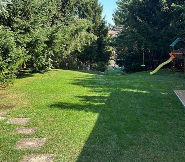 Vila deosebita pe malul lacului Snagov - Poză 2