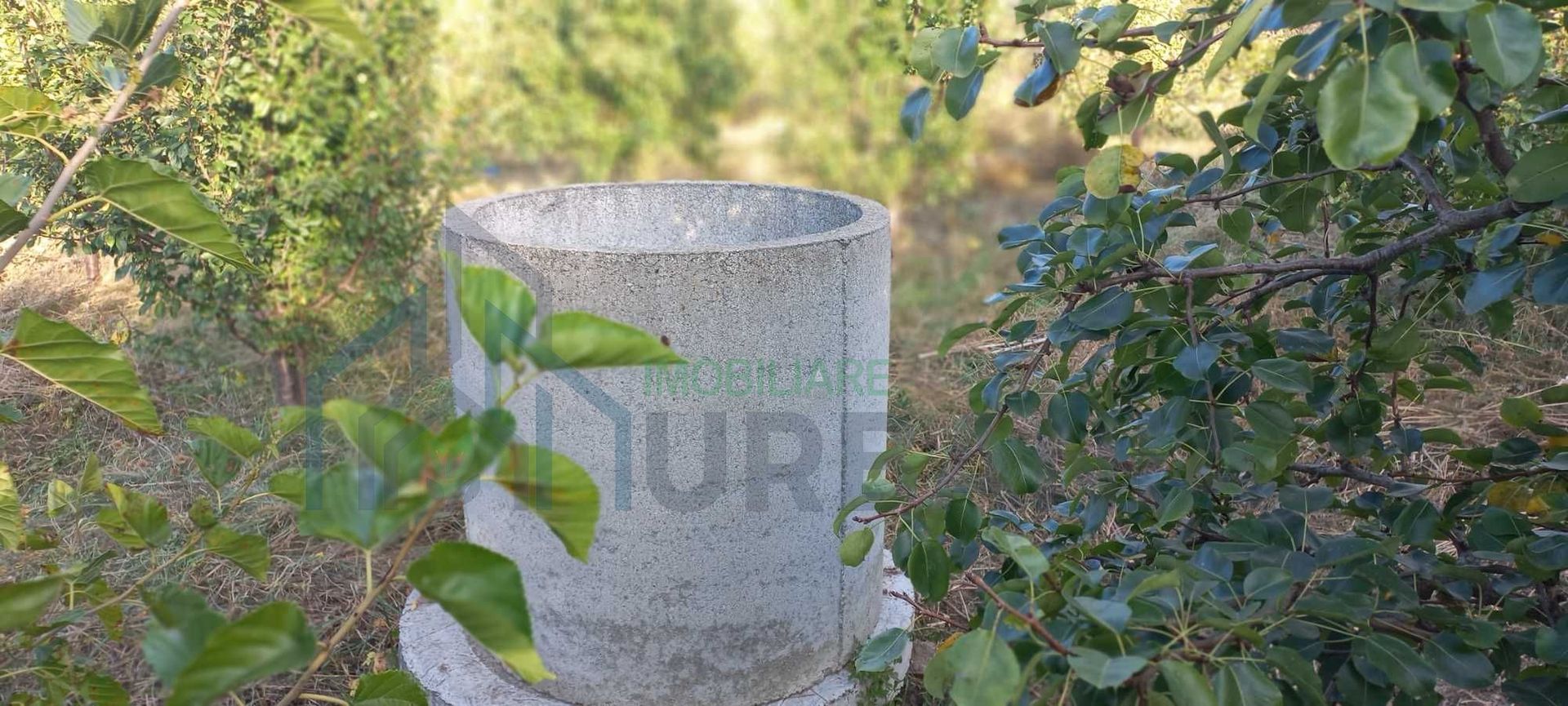 Teren intravilan de vânzare, Cristești-Brăești, Iași, 2.650 mp - Poză 8