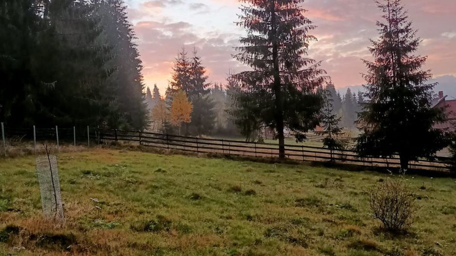 De vanzare teren cu cabana in Smida - Poză 1