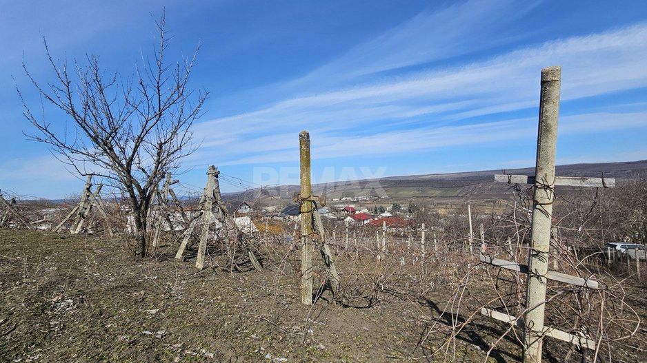Teren pentru construcții 10 ari Vasieni, Ialoveni - Poză 9